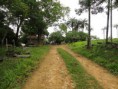 /album/fazenda-santa-fe/fazenda-santa-fe-13-11-2010-28-jpg/